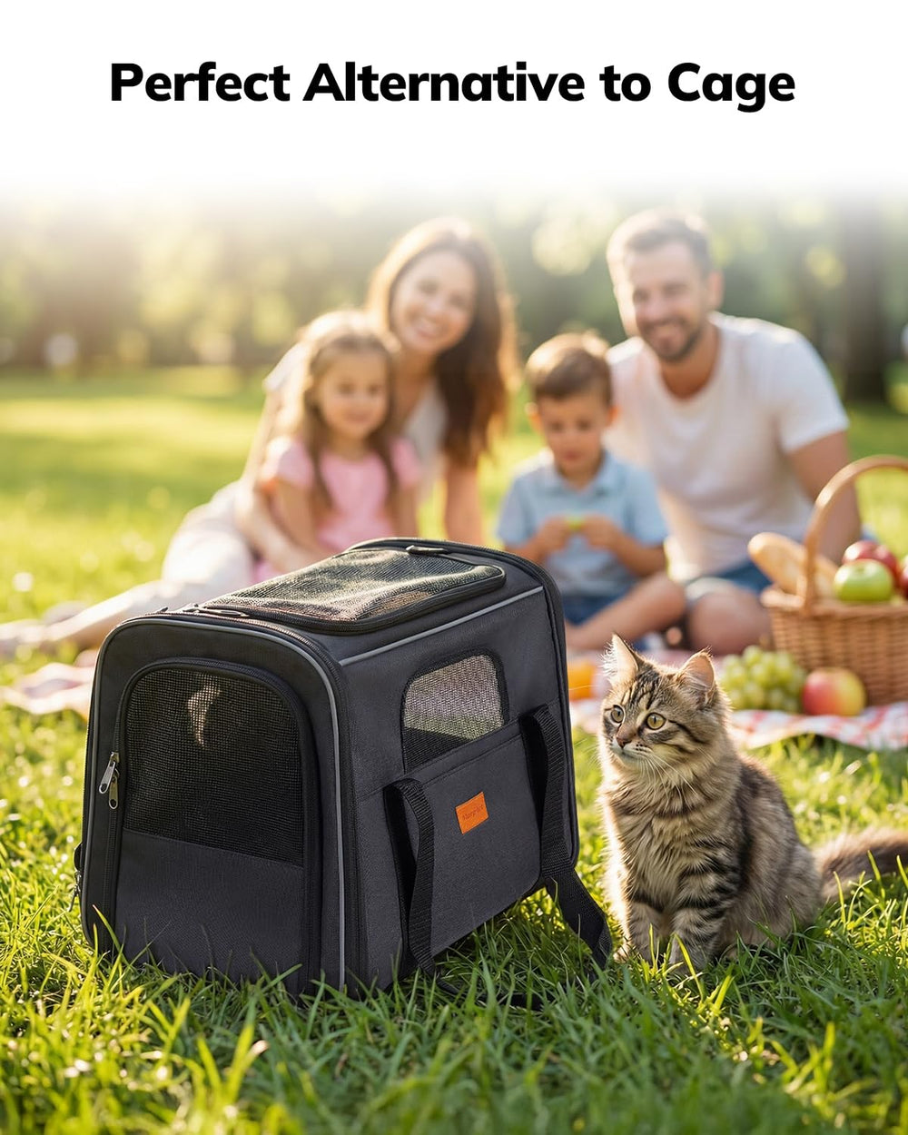 Morpilot Cat Carrier collapsible design for easy storage