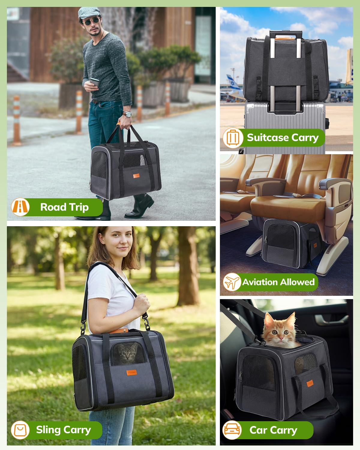 Morpilot cat carrier portable collapsible storage for compact packing.