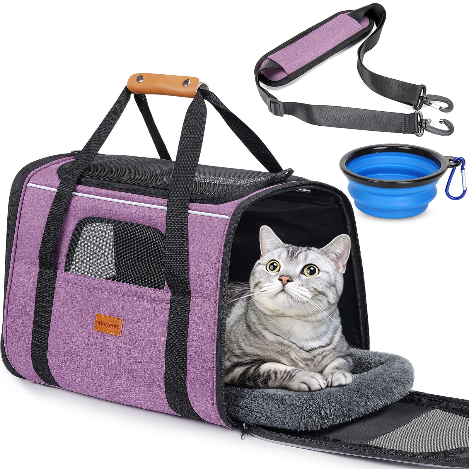 Morpilot cat carrier in purple showing dual cushions for comfortable travel