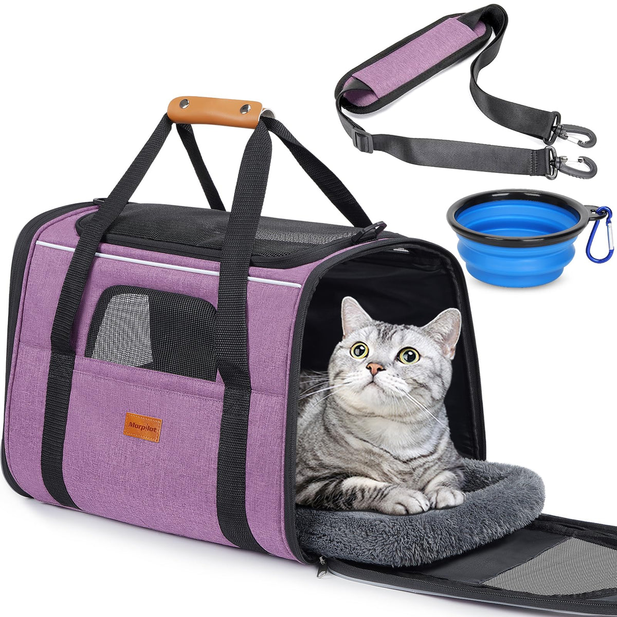 Morpilot cat carrier in purple showing dual cushions for comfortable travel