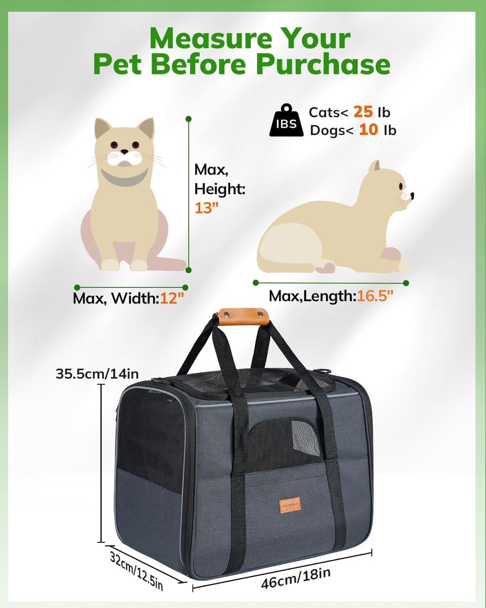 Morpilot safety-buckle to keep pets secure during transport