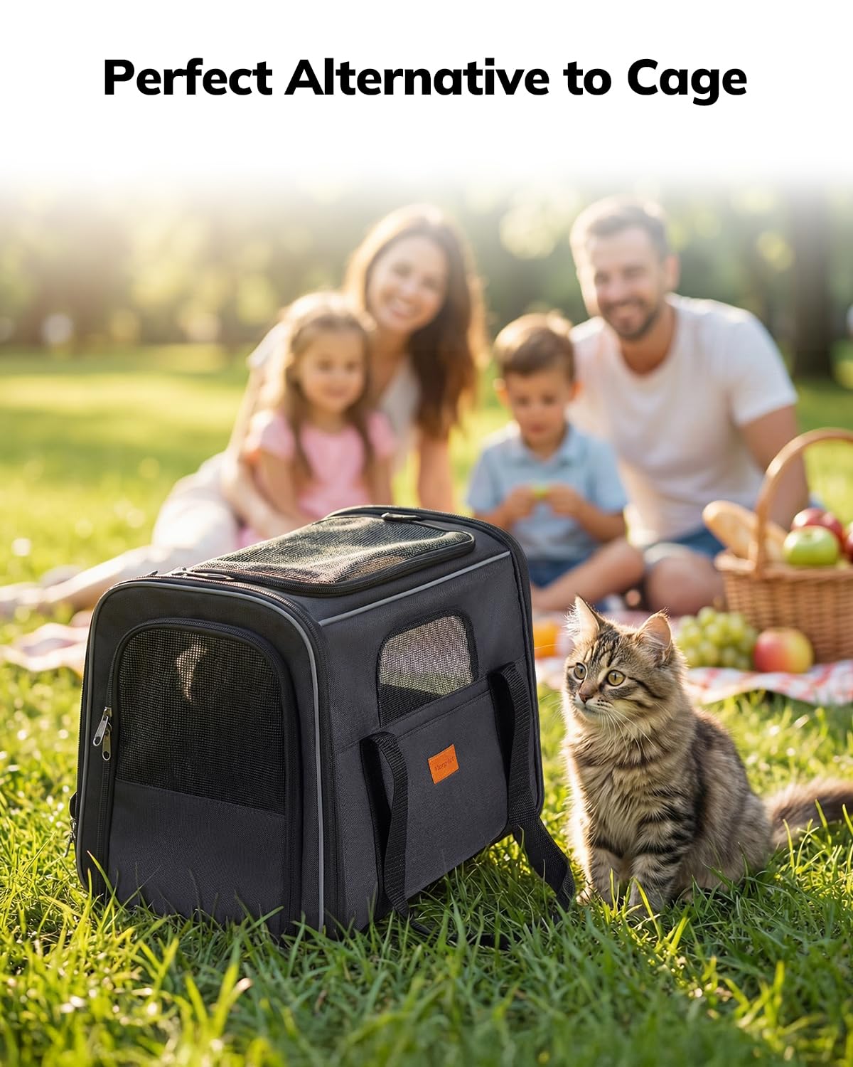 Morpilot travel-friendly-carrier suitable for car, train, and air travel