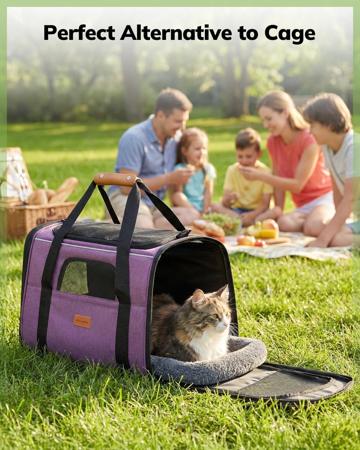 Morpilot Pet Travel Carrier Bag collapsible design for easy storage