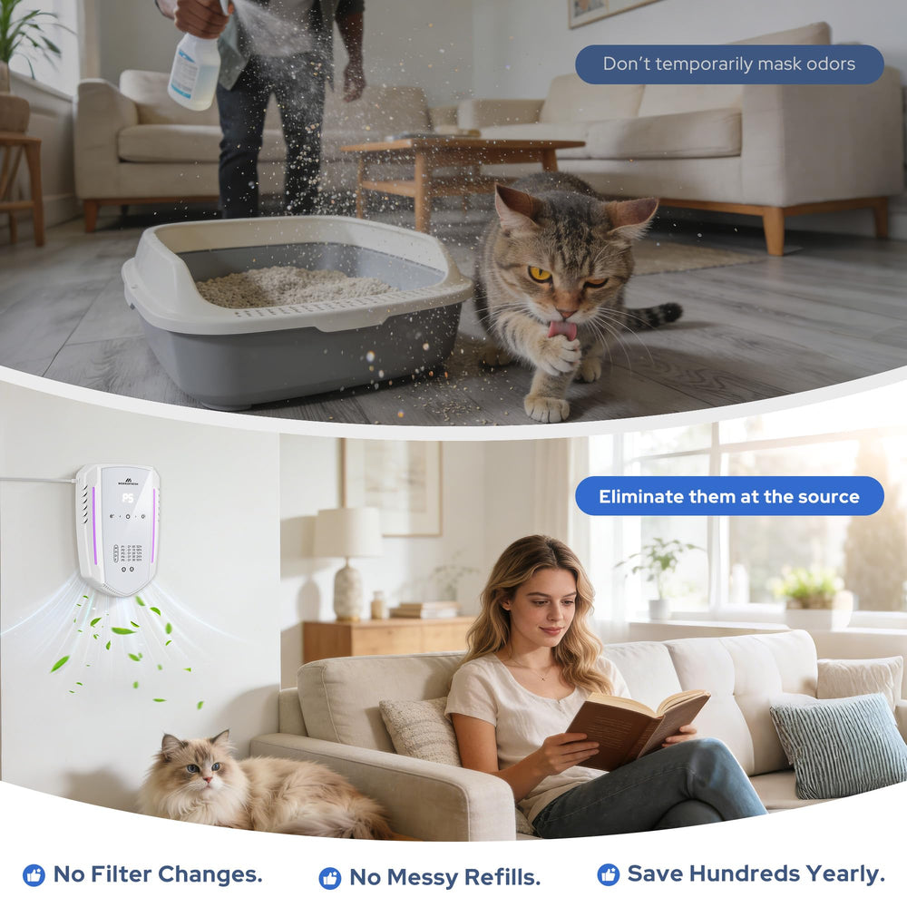 Morrerfresh plug-in air purifier for a cat room with small footprint