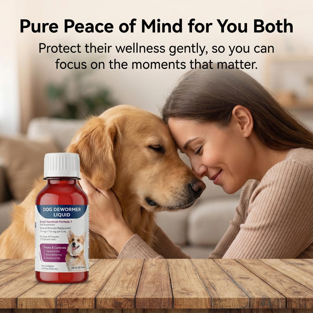 Morvequa dewormer helps maintain cleaner indoor spaces.