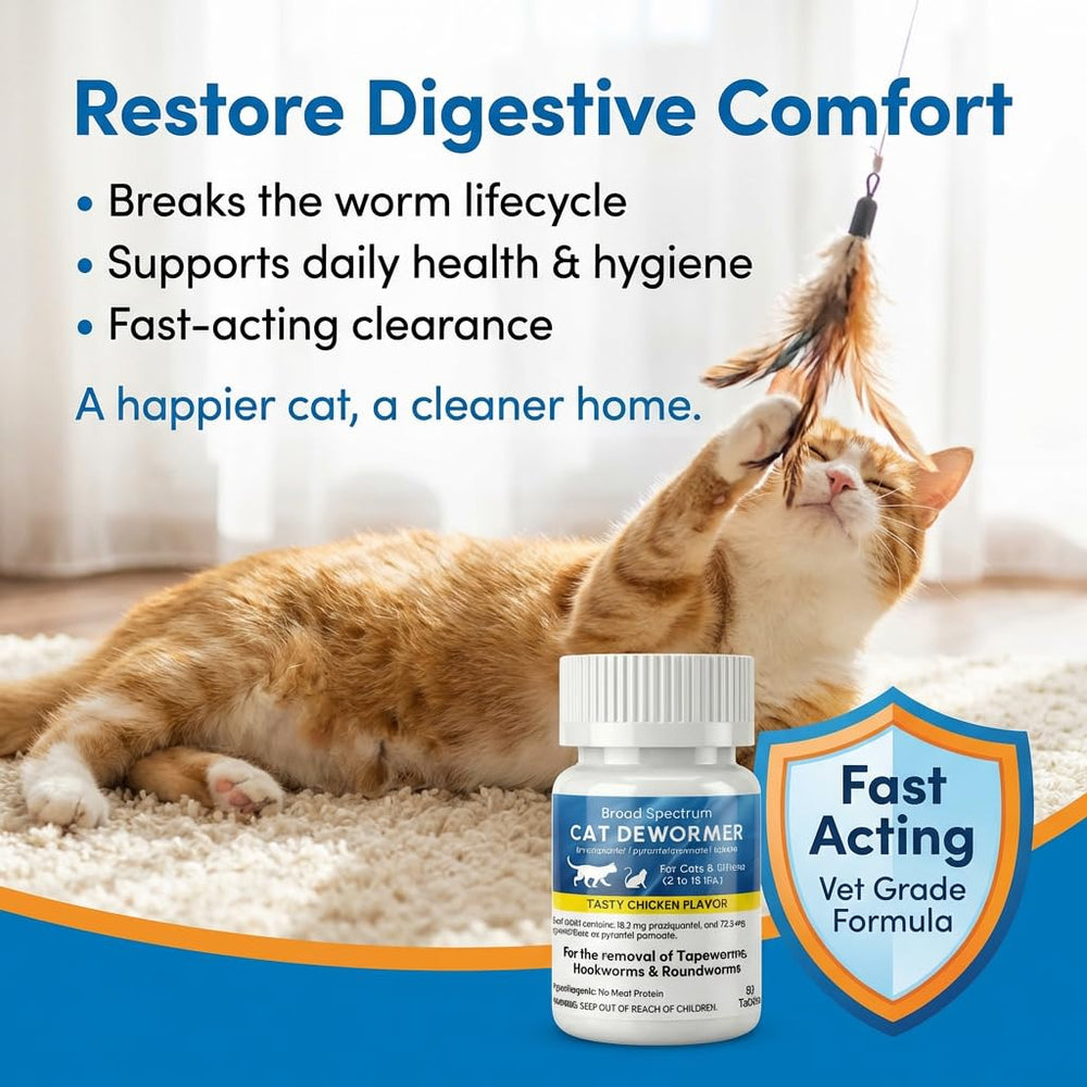 Morvequa digestive health for cats emphasized in the image