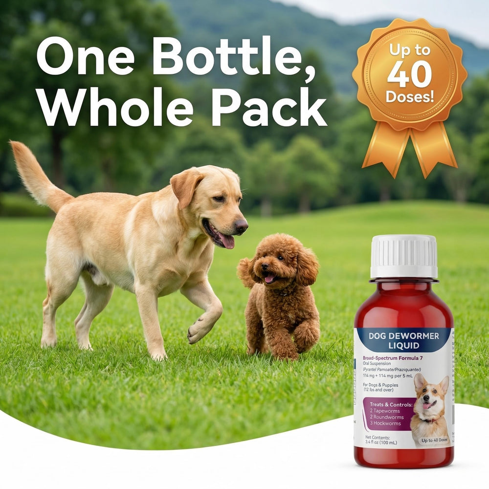 Morvequa bottle beside a puppy aged 12 weeks for size reference.