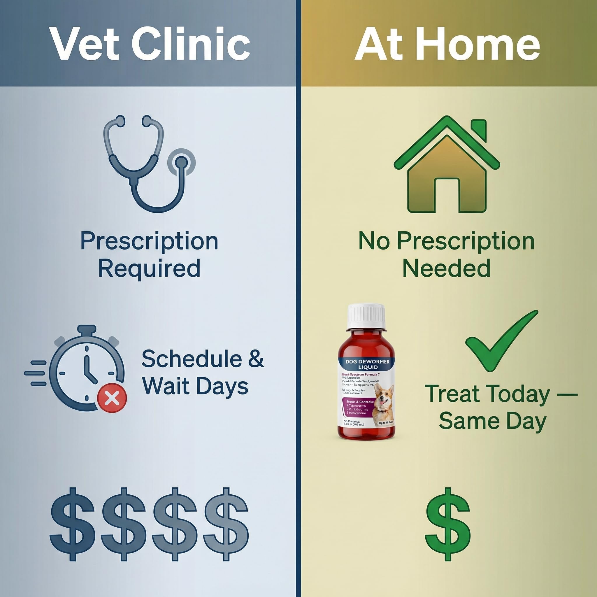 Morvequa at-home use supports multi-dog households efficiently.
