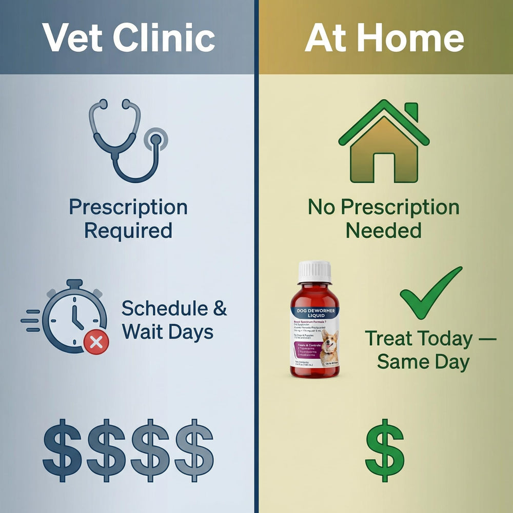 Morvequa at-home use supports multi-dog households efficiently.