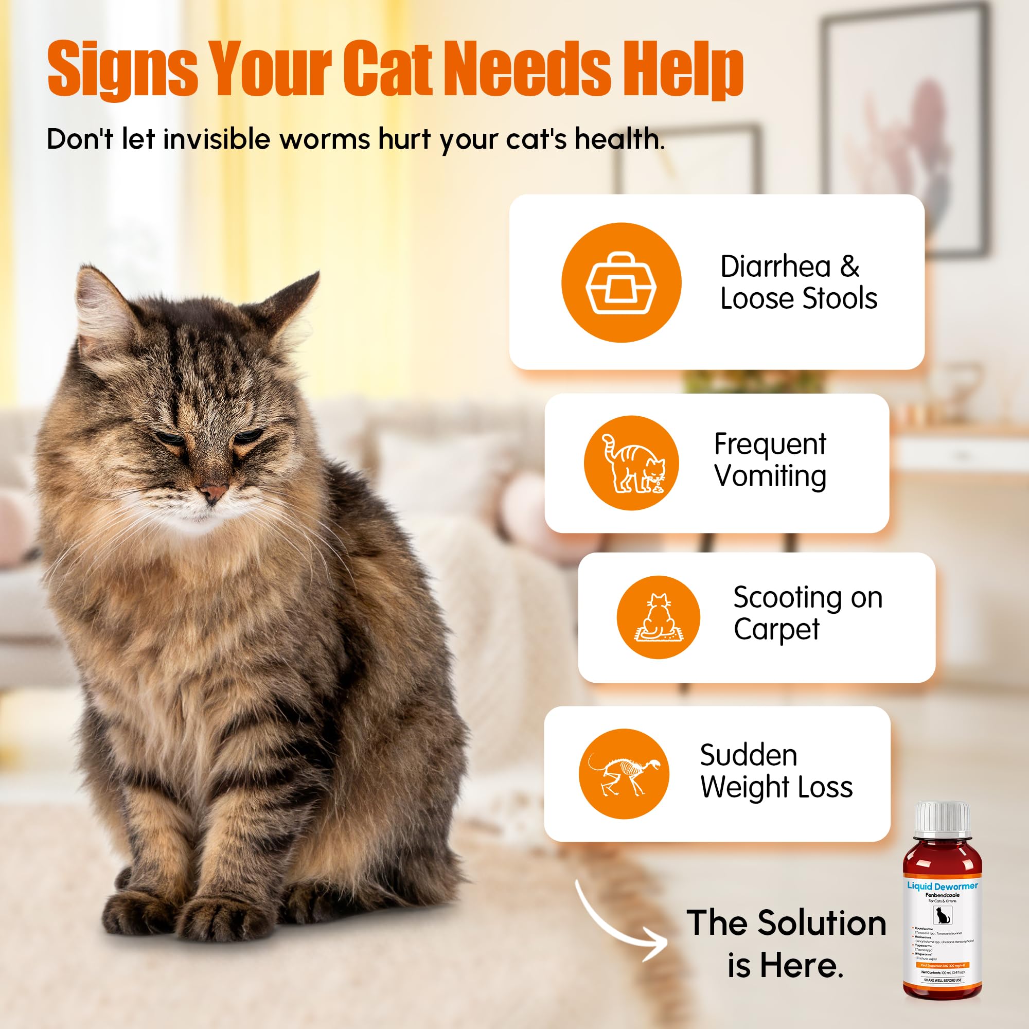 Morvequa liquid mixed into wet food for stress-free administration