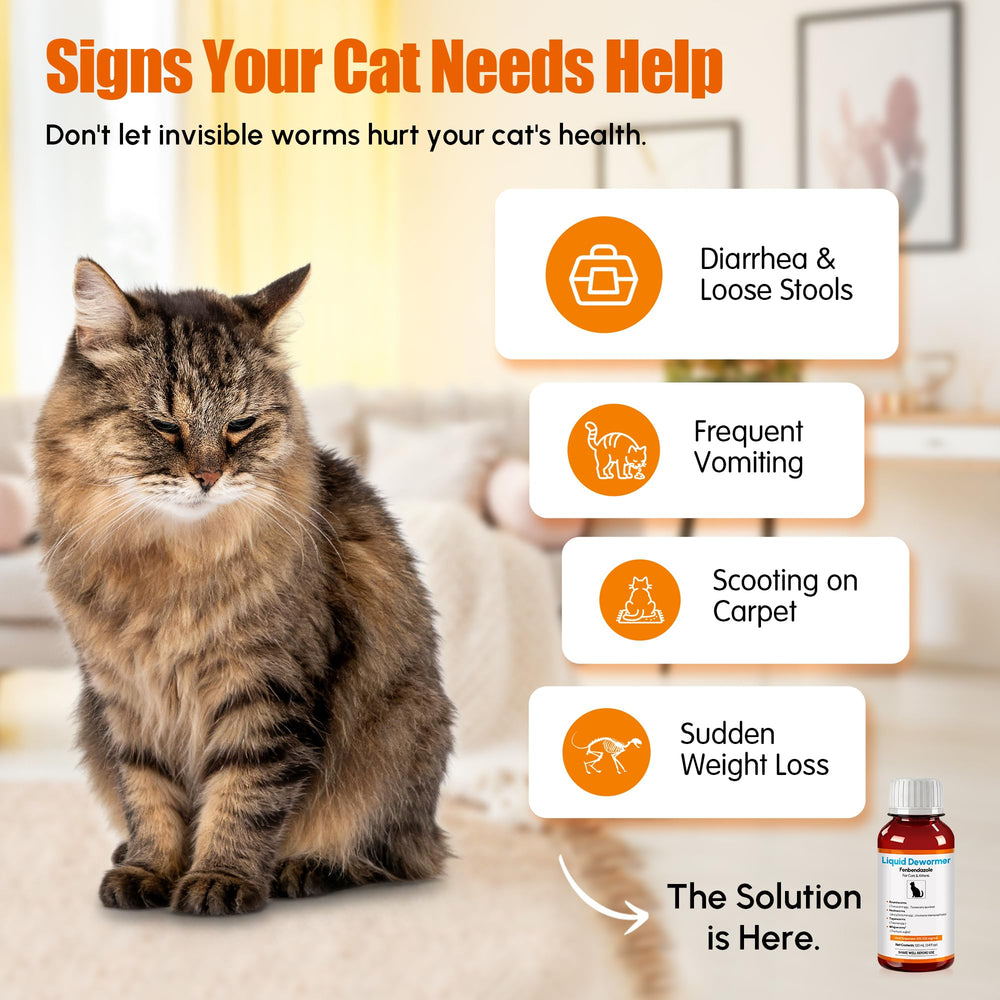 Morvequa liquid mixed into wet food for stress-free administration