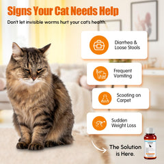 Morvequa liquid mixed into wet food for stress-free administration