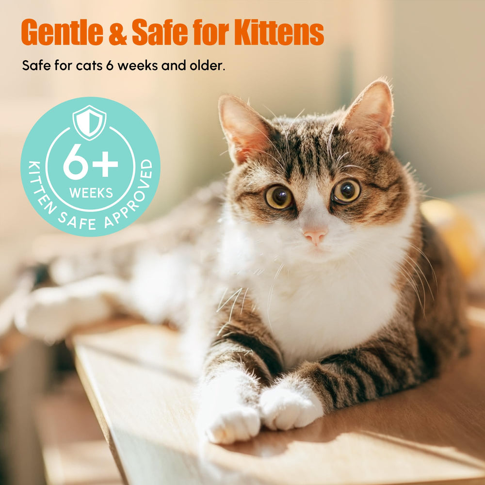 Morvequa multi-cat solution for consistent treatment across cats