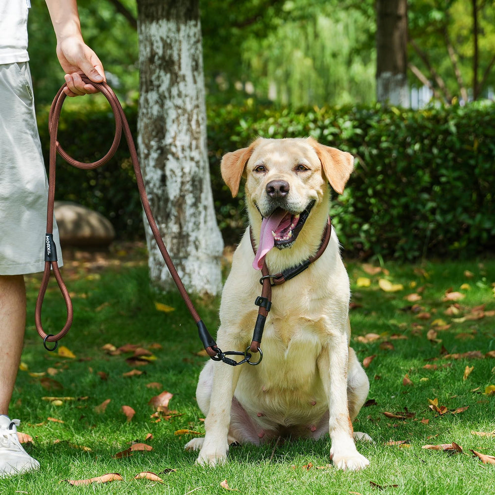 MORXIL rope dog leash uses aviation aluminum carabiner for a lightweight secure lock.