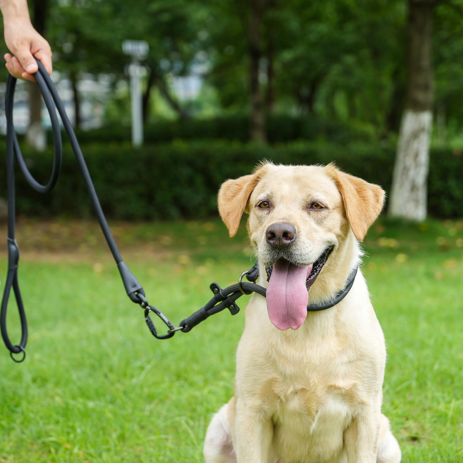 MORXIL rope leash ideal for hiking and training with durable construction.