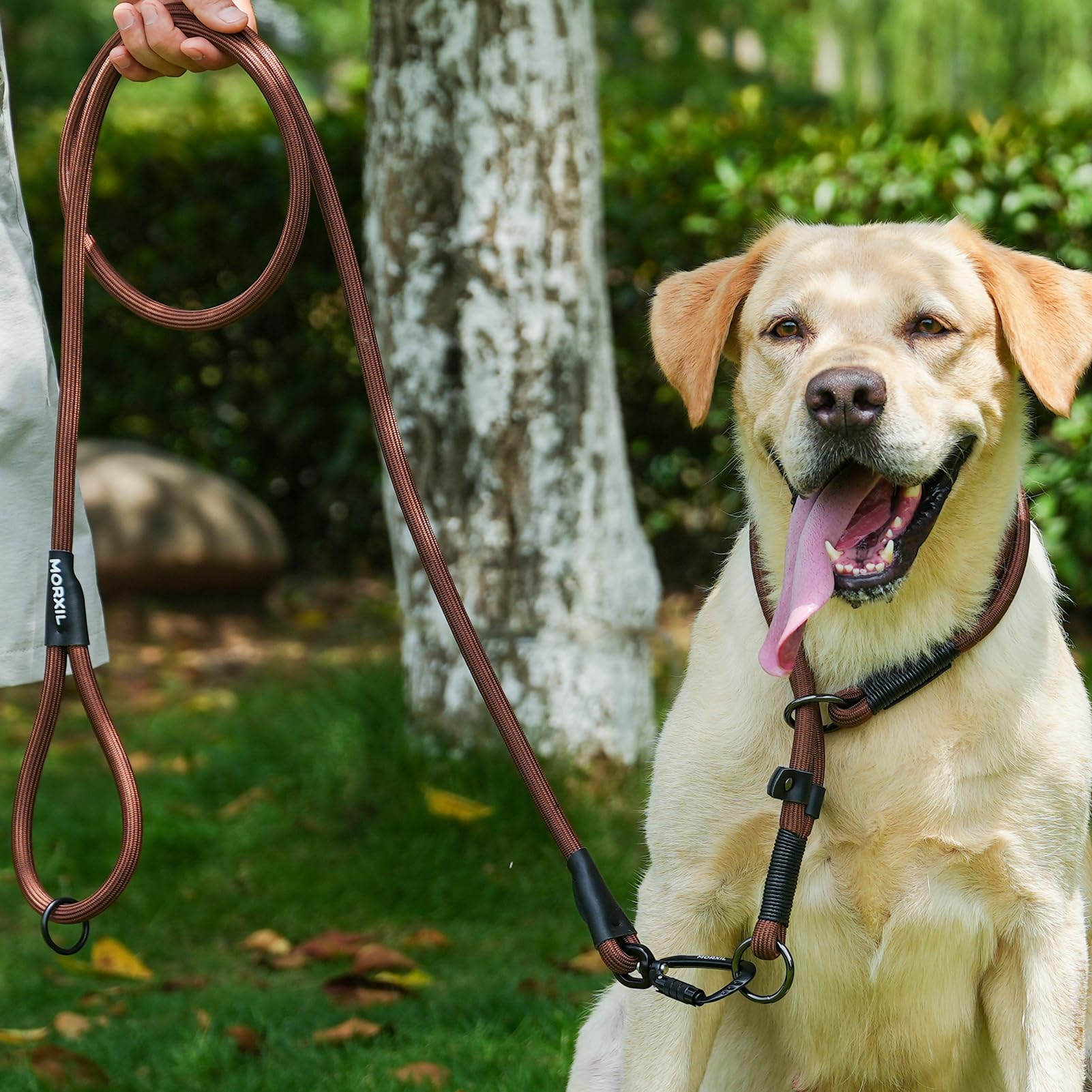 MORXIL 6ft leash offers balanced freedom during outdoor sessions.