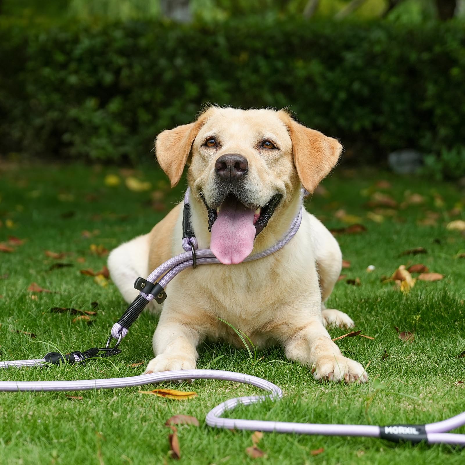 MORXIL two-handle leash in navy blue highlighting freedom and control