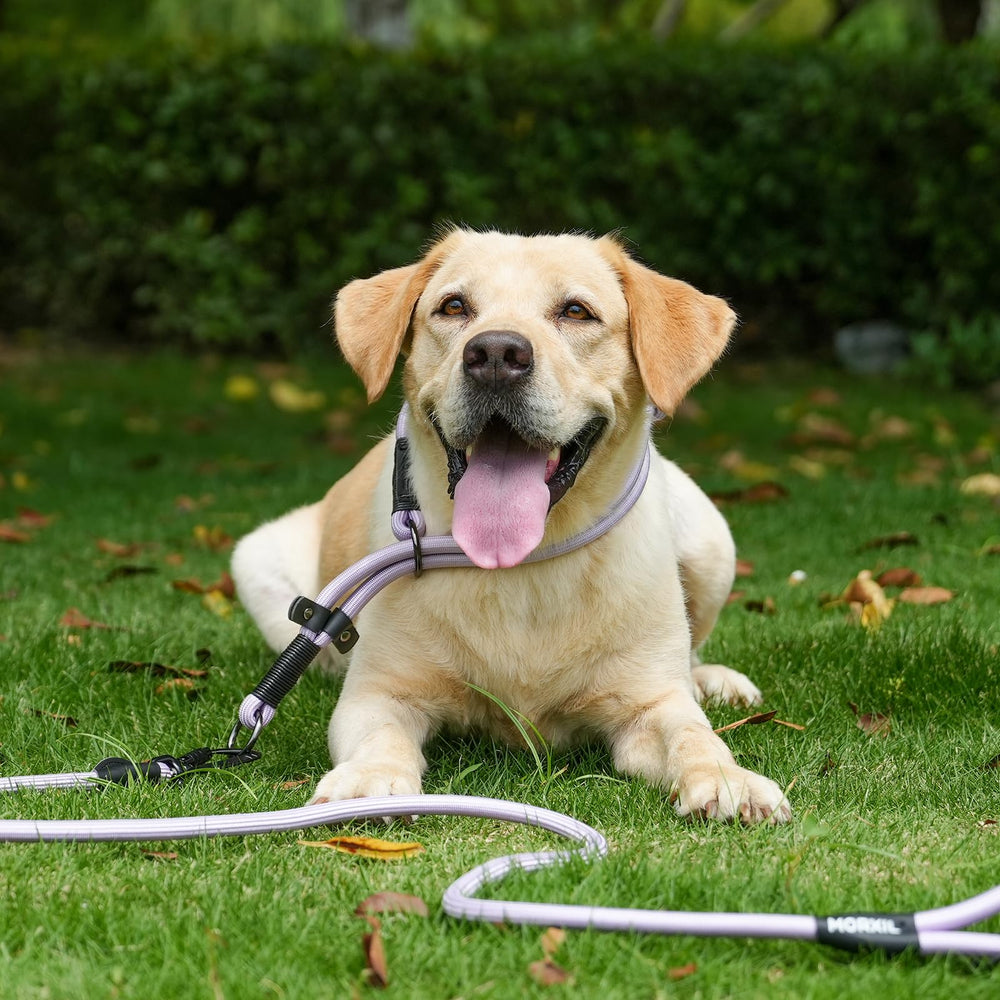 MORXIL two-handle leash in navy blue highlighting freedom and control