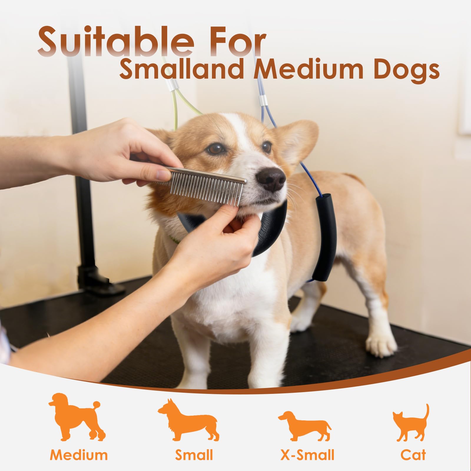 Mot Ycse sturdy clamps enable 360-degree rotation for versatile grooming
