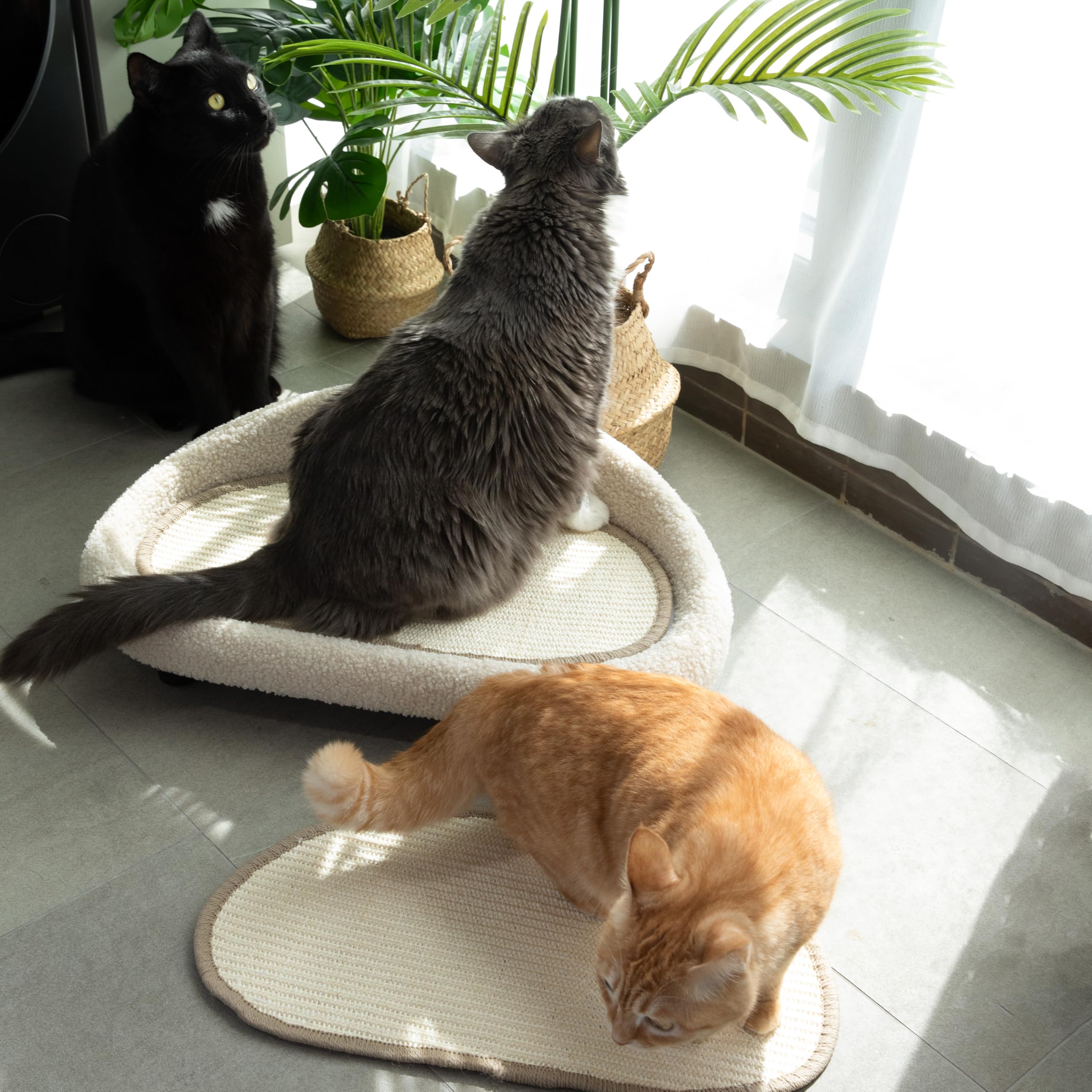 MottPawer indoor-cat relaxation keeps paws entertained while protecting floors.