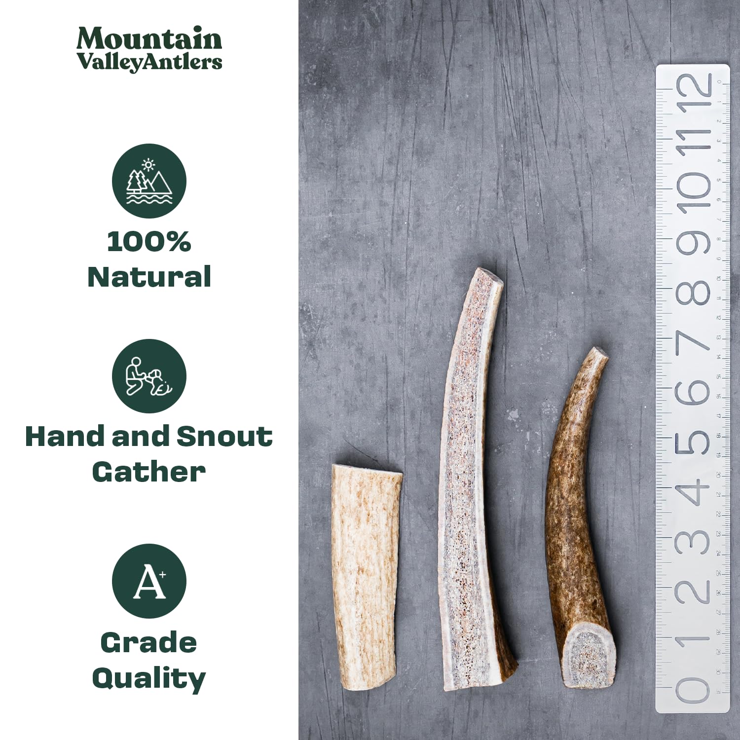Mountain Valley Antlers dog-chew closeup highlights natural texture ideal for safe gnawing.