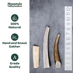 Mountain Valley Antlers dog-chew closeup highlights natural texture ideal for safe gnawing.