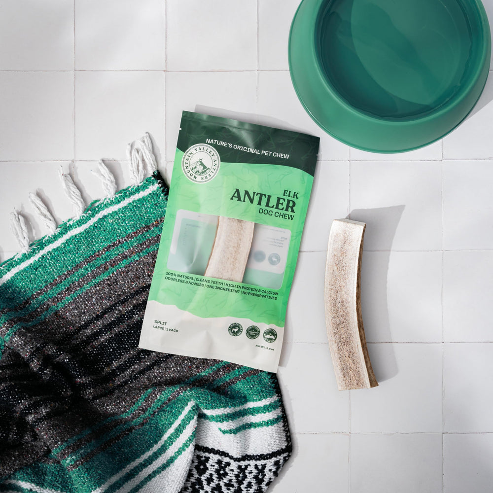 Mountain Valley Antlers eco-conscious dog chew, clean and sustainable