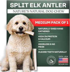 Mountain Valley Antlers elk antlers dog chew, medium packshot, durable for strong chewers
