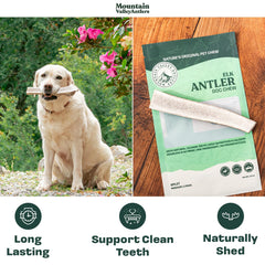 Mountain Valley Antlers odorless and mess-free dog chew for indoor use