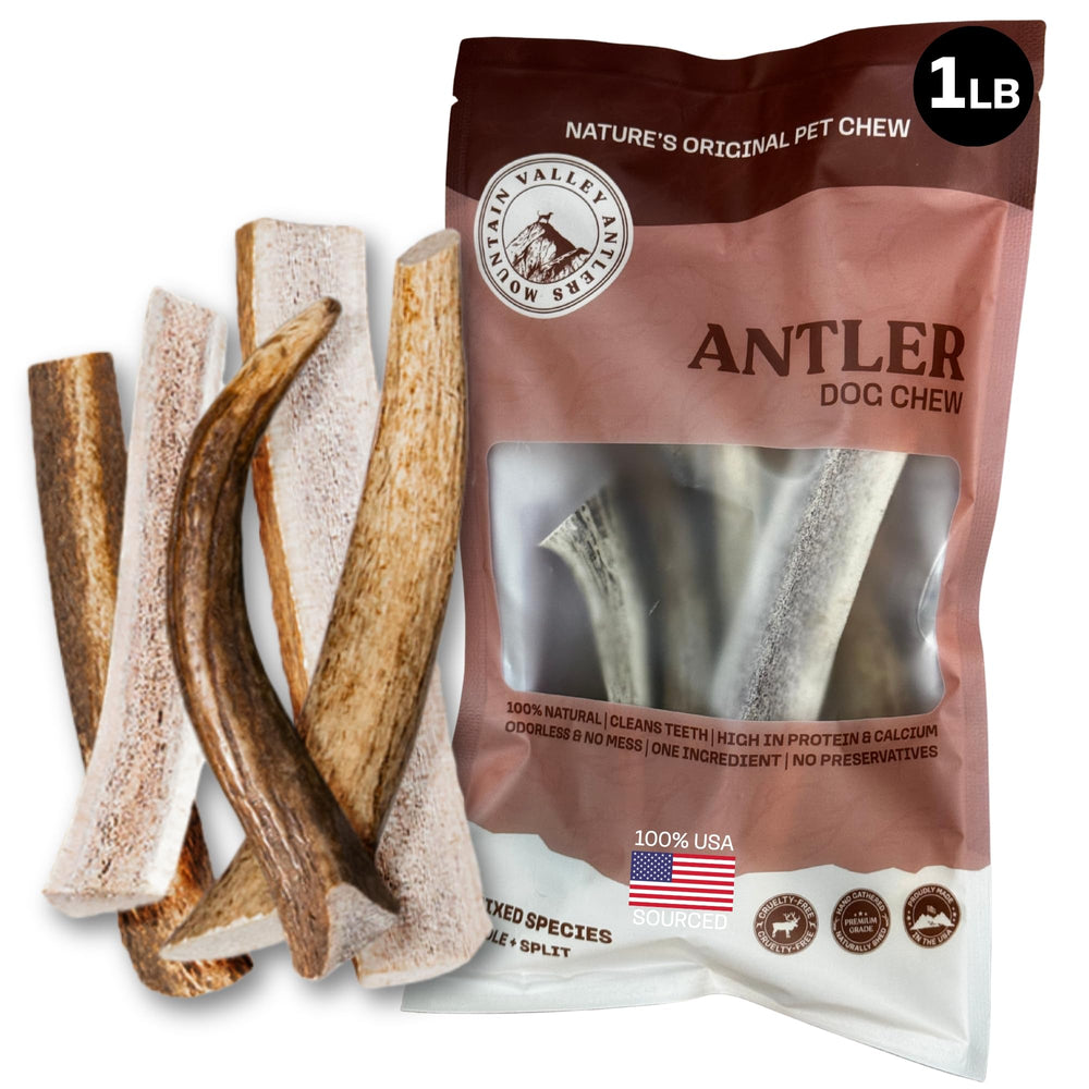 Mountain Valley Antlers pack-1lb closeup shows a durable, long-lasting chew for strong chewers.