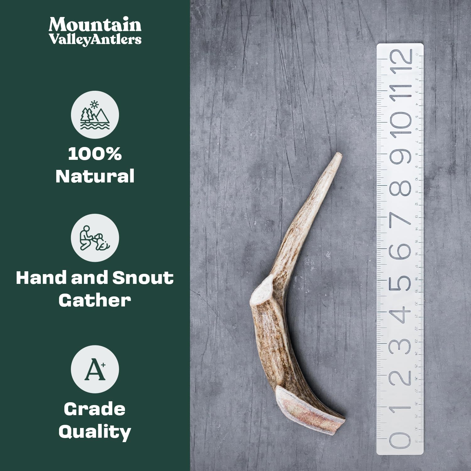 Mountain Valley Antlers raw antler detail demonstrates natural durability.