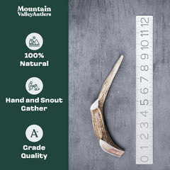 Mountain Valley Antlers raw antler detail demonstrates natural durability.