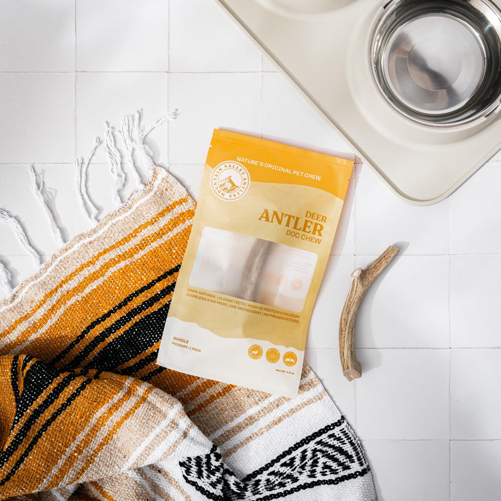 Mountain Valley Antlers wild-foraged, USA-sourced antlers for eco-conscious buyers.