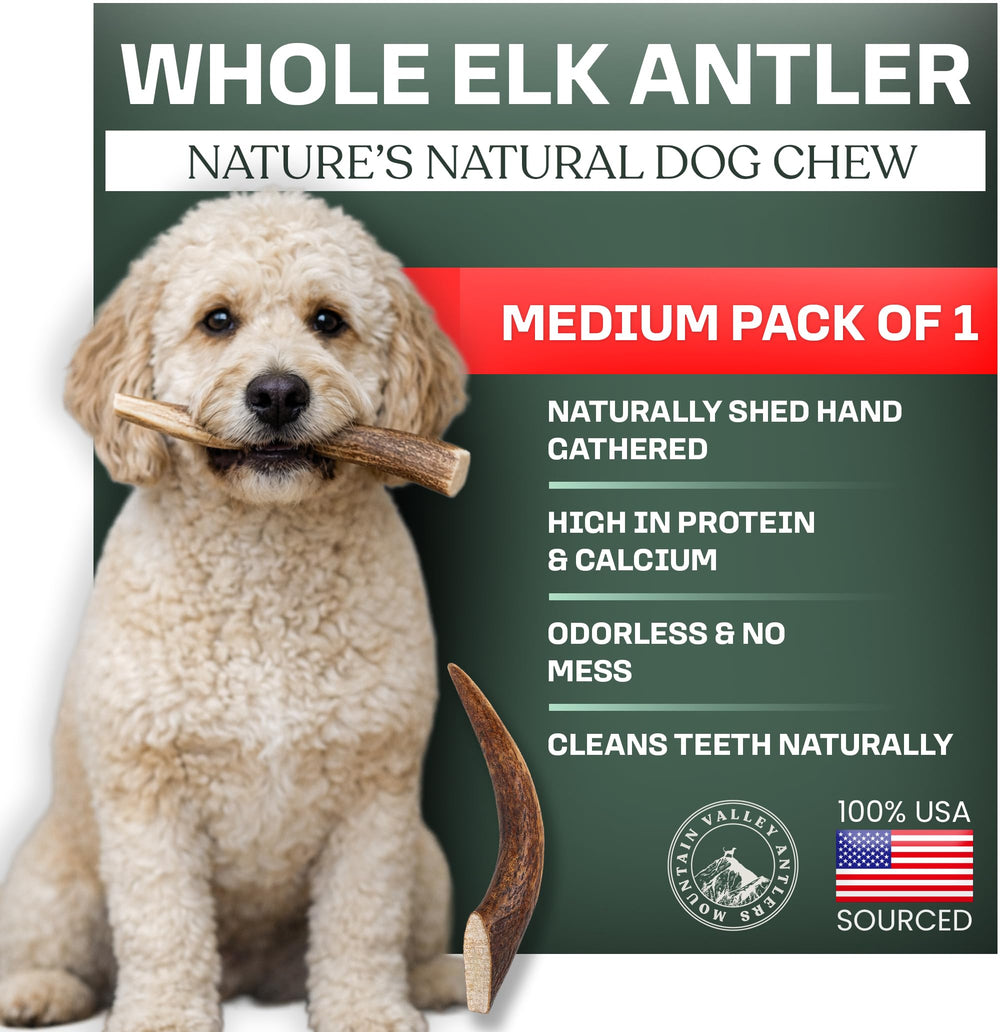 Mountain Valley Elk Antlers pack shot highlights natural, long-lasting dog chews.