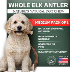 Mountain Valley Elk Antlers pack shot highlights natural, long-lasting dog chews.