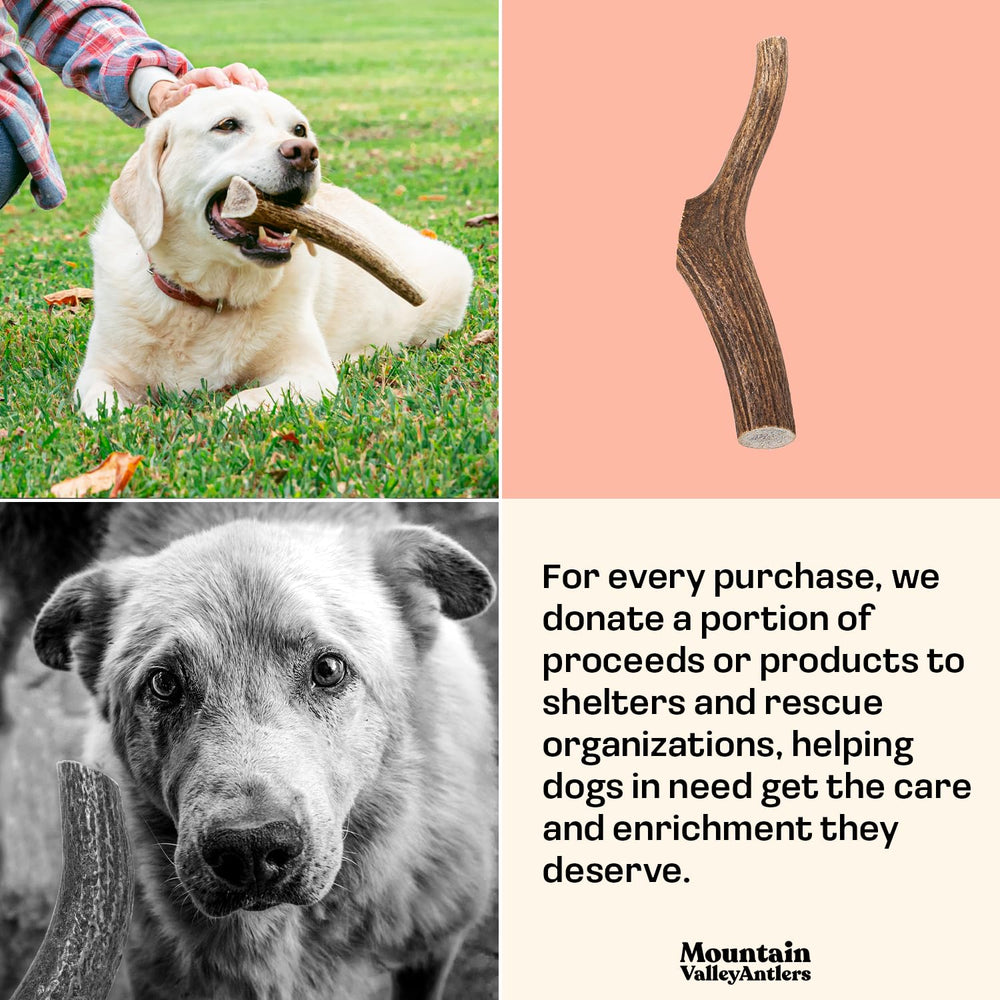 Mountain Valley Elk Antlers eco-conscious sourcing process with hand-picked material