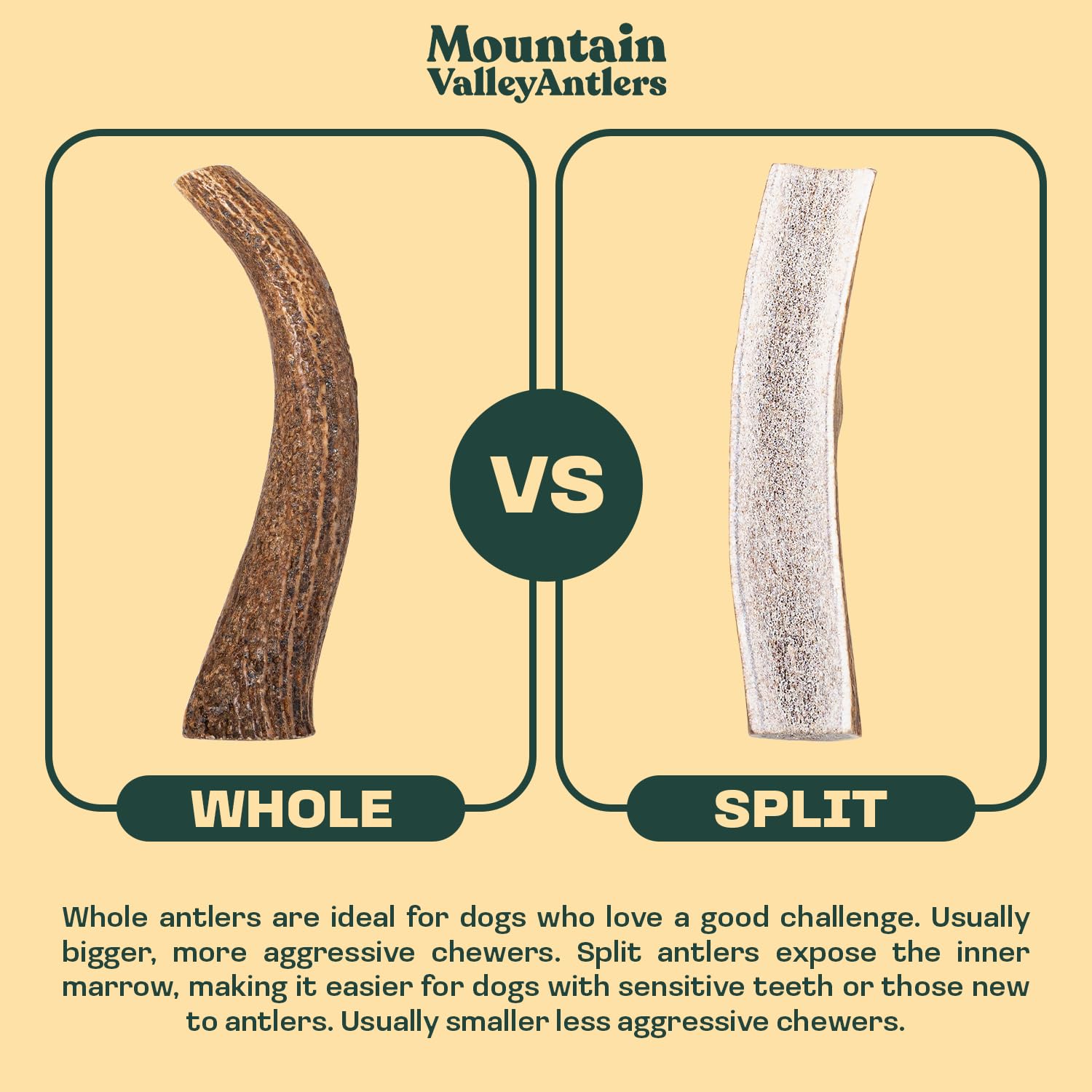 Mountain Valley Elk Antlers small to large sizes; suitable for all breeds