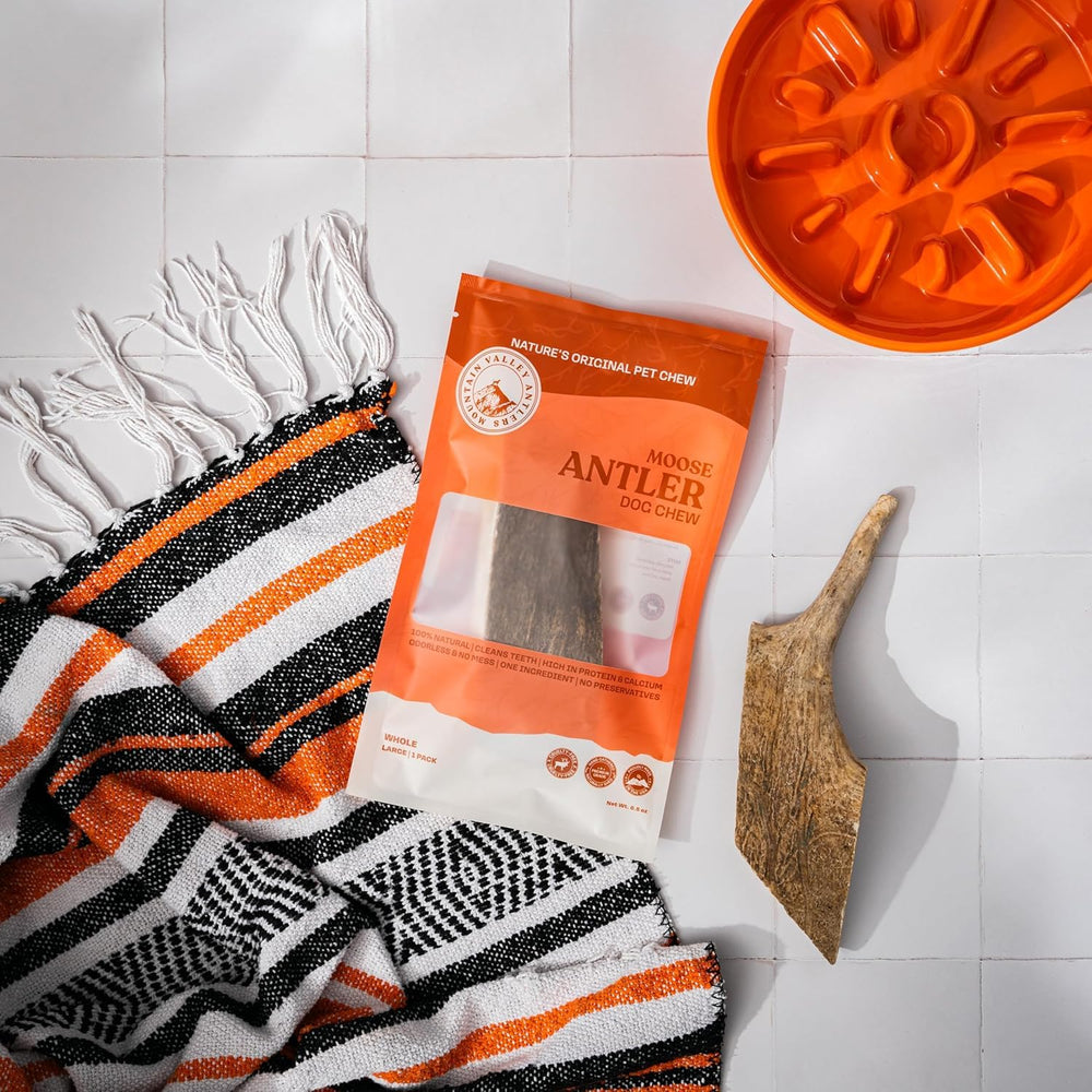 Mountain Valley Moose Antlers for Dogs shed-sourced, guilt-free treat.