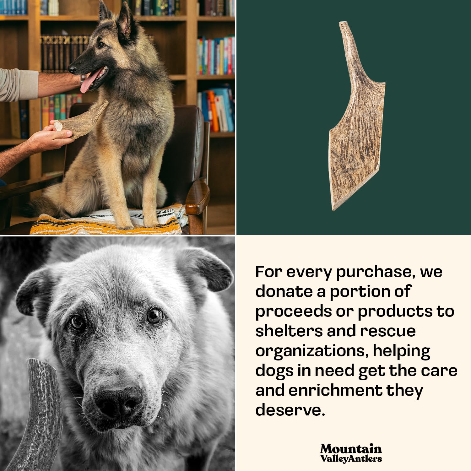 Mountain Valley Moose Antlers for Dogs hand-selected cuts ensure consistent size.