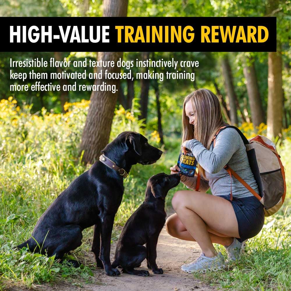 Grain-free Mountain Wild snacks emphasizing natural ingredients