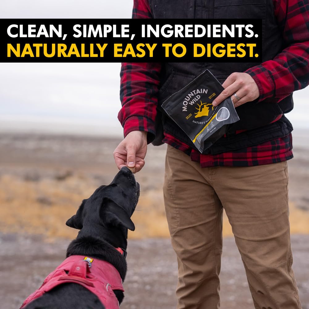 MOUNTAIN WILD dog receiving training reward with jerky