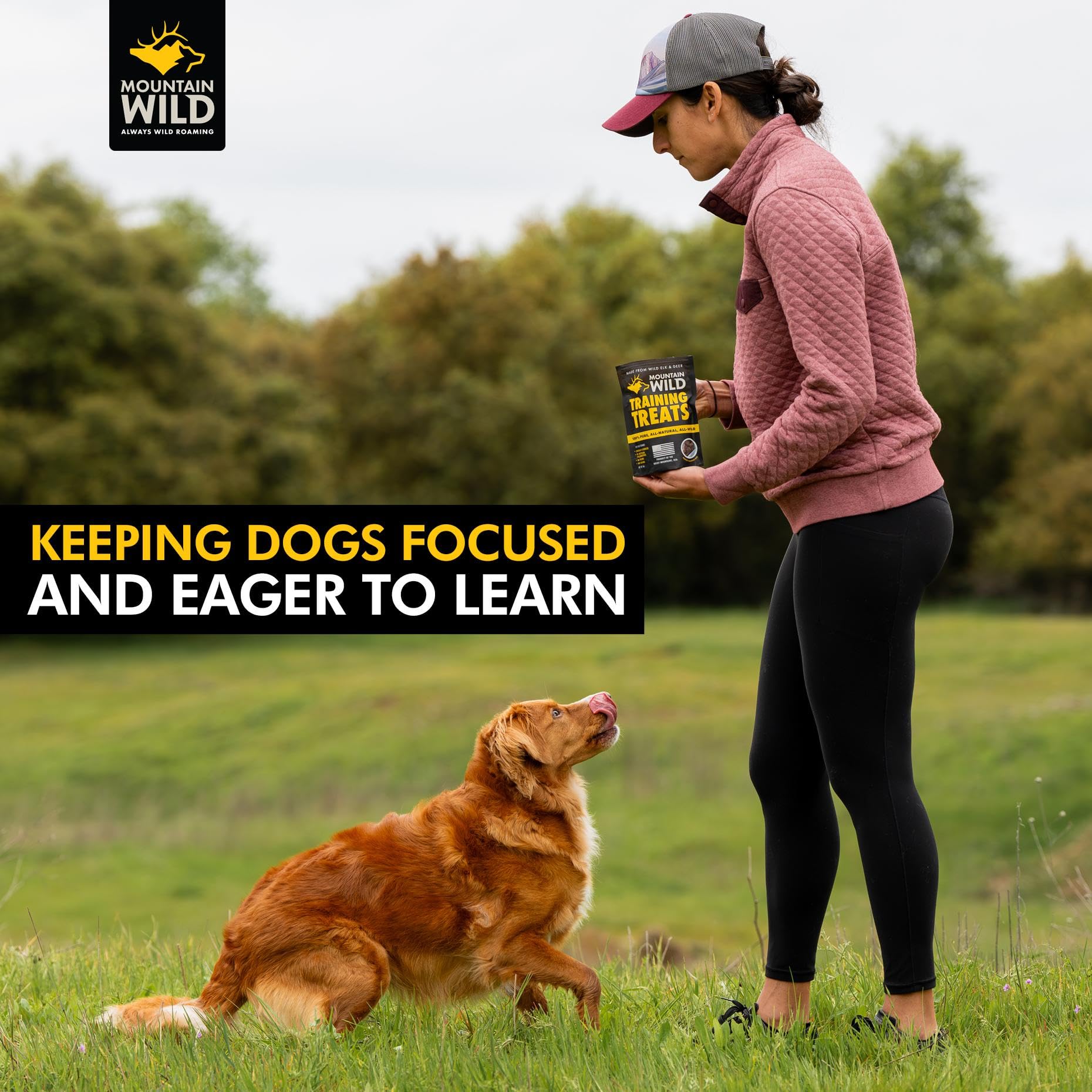 Mountain Wild training treats package flatlay with eco-conscious design.