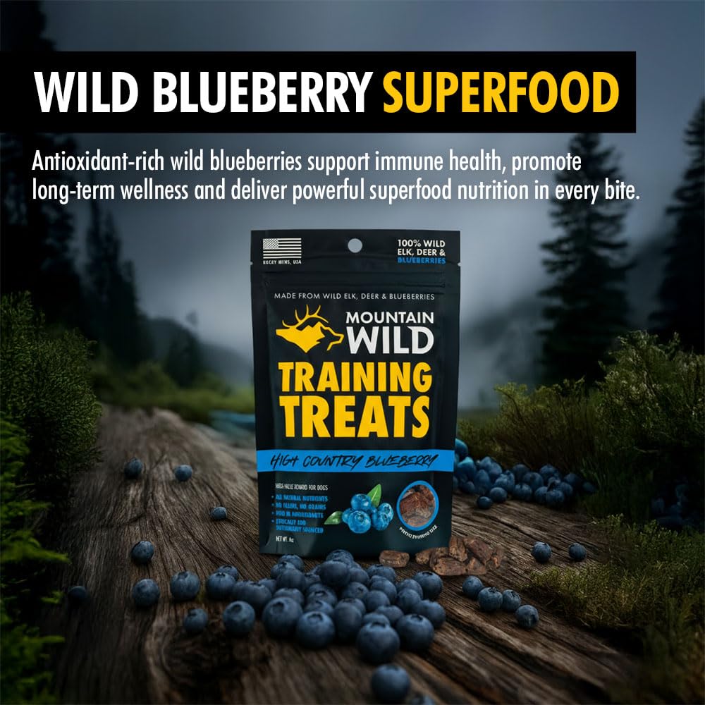 Wild blueberries highlight antioxidant-rich superfood for canine wellness