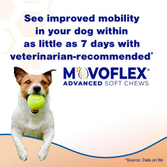 MOVOFLEX Advanced Soft Chews bottle close-up highlights chicken flavor and soft texture