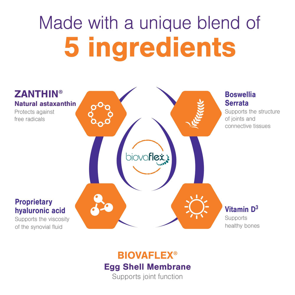 BIOVAFLEX eggshell membrane component illustration in MOVOFLEX formula.
