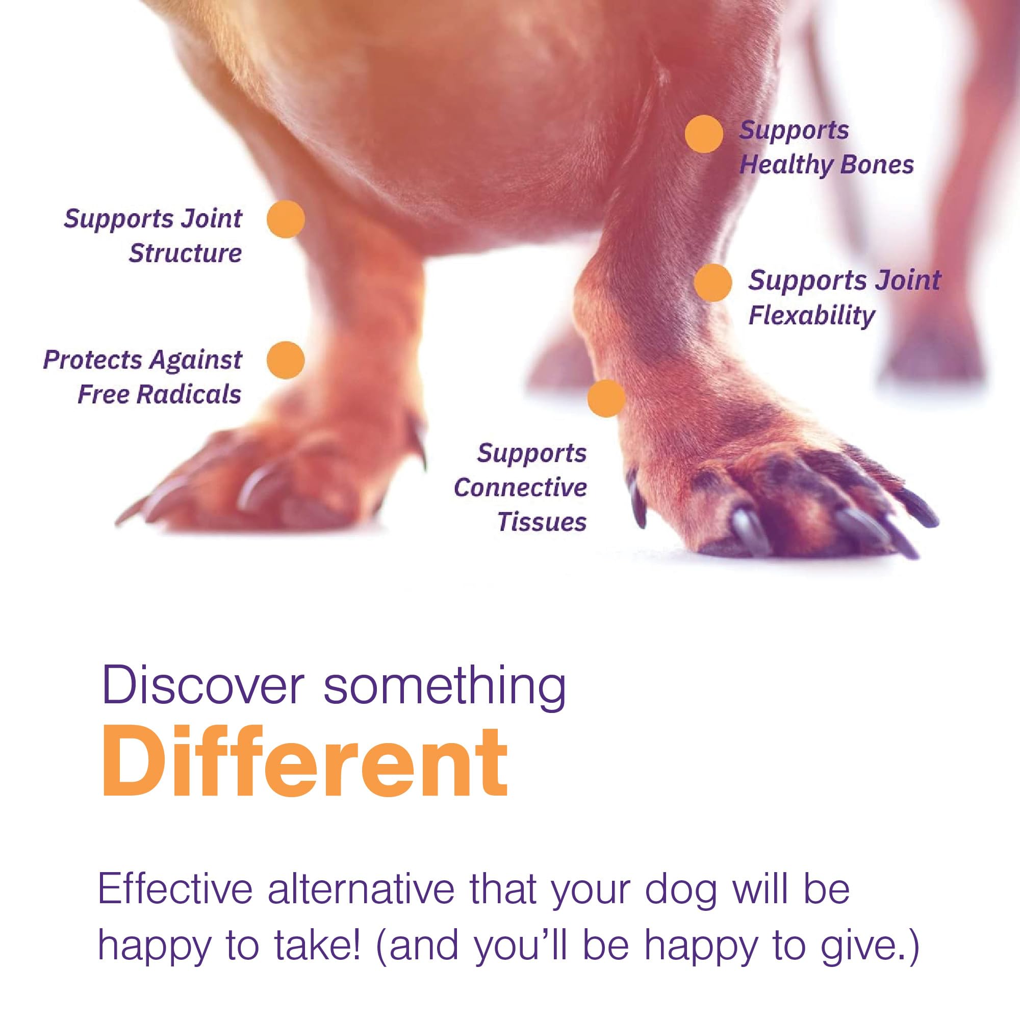 MOVOFLEX BIOVAFLEX eggshell membrane ingredient for joint flexibility