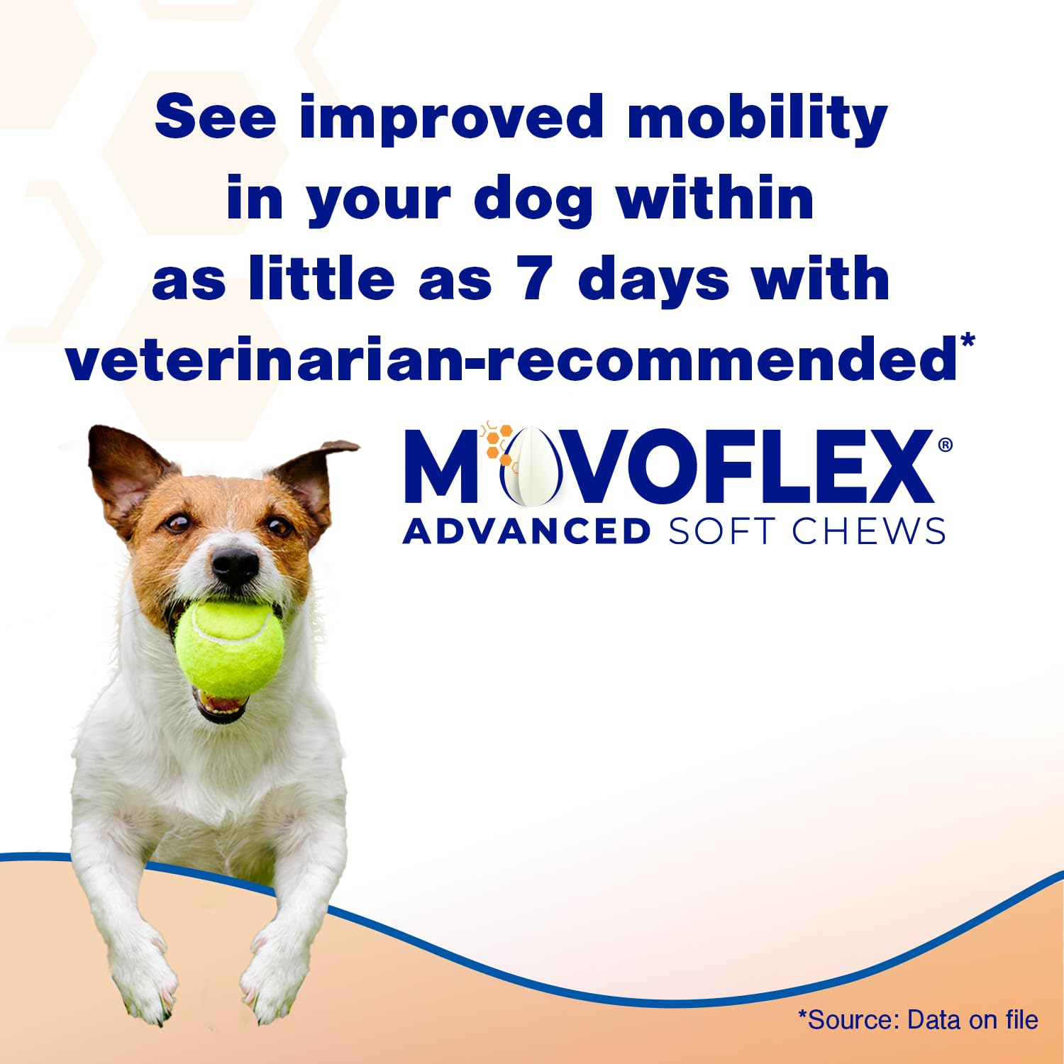 Movoflex chews closeup highlights tasty chicken flavor for daily treats