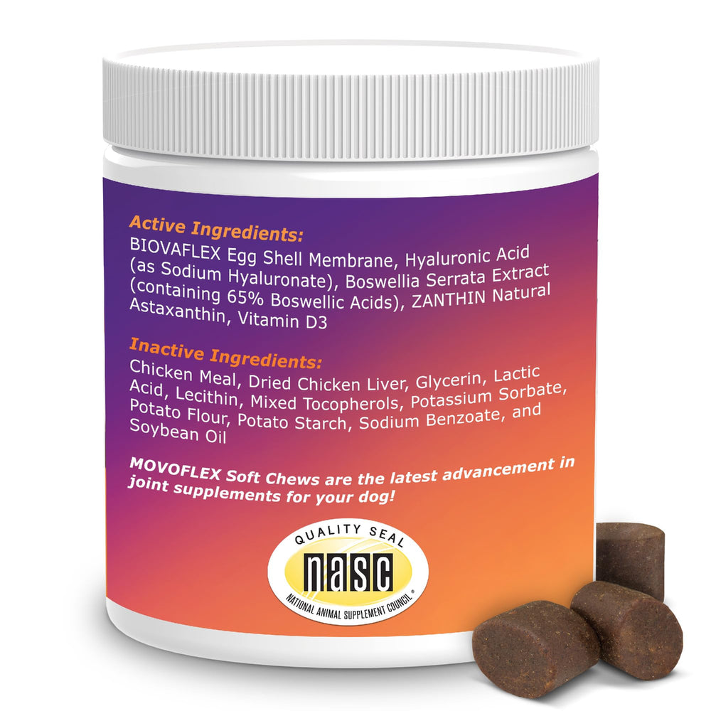 MOVOFLEX gluten-free-diet-friendly image signals a diet-safe option.