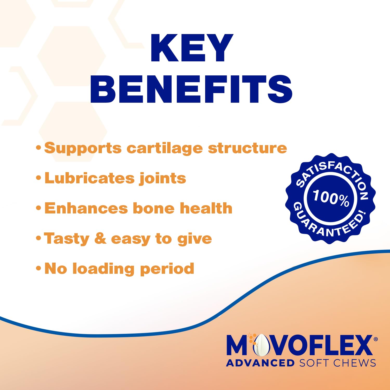 Movoflex hip joint support for a large dog in motion