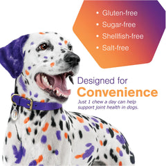 MOVOFLEX Soft Chews in dog bowl showing easy daily serving